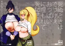 Shinu Toki wa Dekkee Oppai ni Umorete Shinitee, English