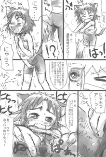 ぬこ娘っぽい, 日本語