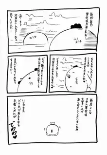 フルーク, 日本語