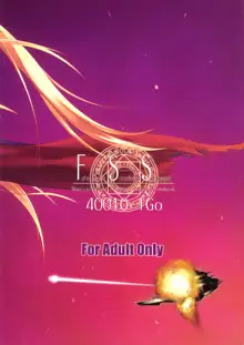 Fate-chan wa Soredemo Shiawase, Español