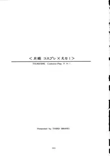 月姫コスプレ×えち！TSUKIHIME Costume-Play X H!, 日本語