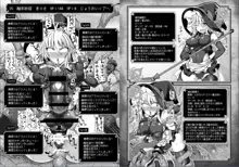 東方エロステータス合同, 日本語