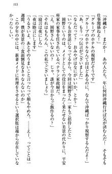 年上メイドの新婚日記, 日本語