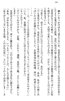 年上メイドの新婚日記, 日本語