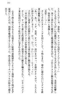 年上メイドの新婚日記, 日本語