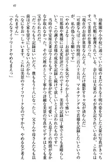 年上メイドの新婚日記, 日本語