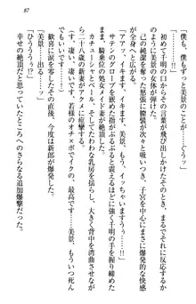 年上メイドの新婚日記, 日本語