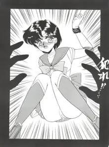 SAILOR MOON MATE 02 AMI, 日本語