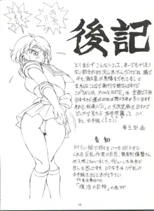 SAILOR MOON MATE 02 AMI, 日本語