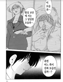 Takatsuki Jokyouju no Inbi na Hibi 5, 한국어