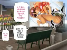 Kuro Gal wa Chinpo de Otoseru! -2, 한국어