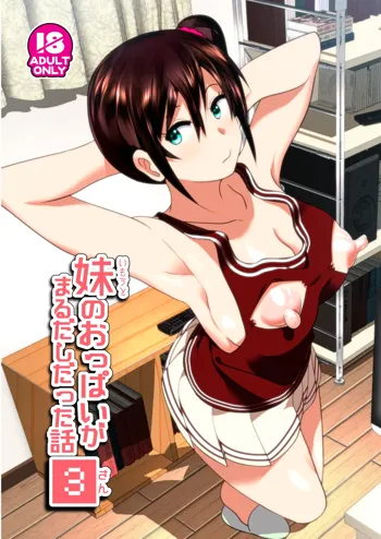 Imouto no Oppai ga Marudashi Datta Hanashi 3 (decensored), English