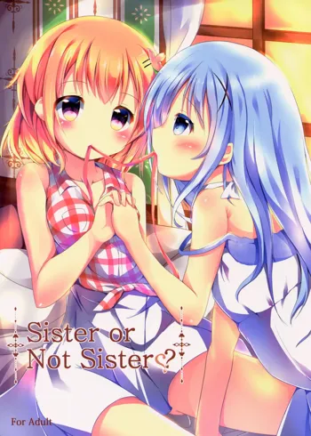 Sister or Not Sister??, English