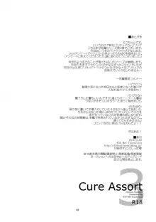 Cure Assort 3, 日本語