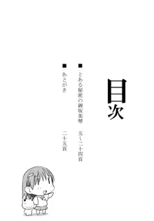 Toaru Himitsu no Onee-sama | 어떤 비밀의 미사카 미코토 (decensored), 한국어