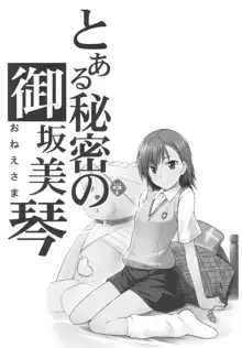 Toaru Himitsu no Onee-sama (decensored), 中文