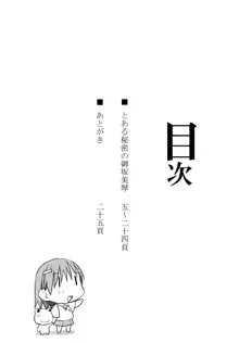 Toaru Himitsu no Onee-sama (decensored), 中文