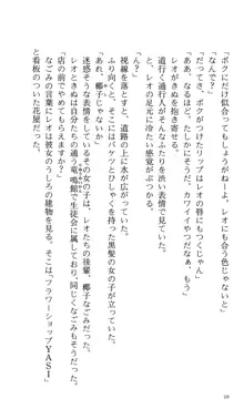 つよきす 番外編5 愛の嵐, 日本語