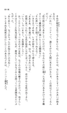 つよきす 番外編5 愛の嵐, 日本語