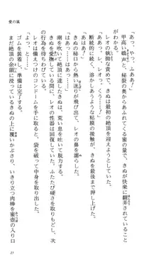 つよきす 番外編5 愛の嵐, 日本語