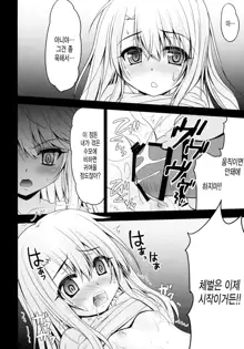 Illya to Kuro no Oshioki Ecchi Night, 한국어