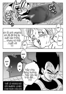 Bulma ga Chikyuu o Sukuu!, Tiếng Việt