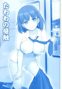 Tawawa no Kanshoku, 中文