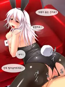 SEXUAL BUNNY CLUB, 한국어