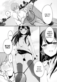 Kataguruma x Shoujo | 목마 x 소녀, 한국어