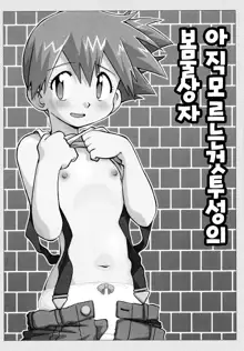 Kimi o Yondara Tabi wa Hajimarunosa ~Satoshi x Kasumi Bon Soushuuhen~, 한국어