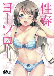 Seishun Yousoro, 中文