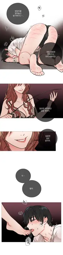 Sadistic Beauty Ch.0-30, 한국어