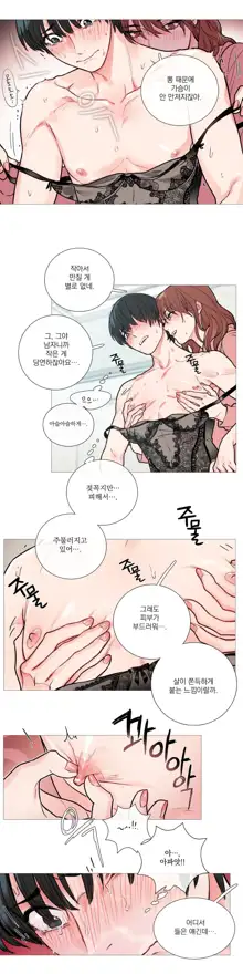 Sadistic Beauty Ch.0-30, 한국어