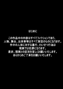 不思議世界-Mystery World-ののな2, 日本語