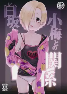 Shirasaka Koume to no Kankei | The Relationship Between Me and Koume, English