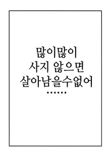 N.M.O, 한국어