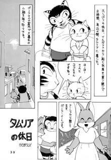 海猫亭 総集編, 日本語