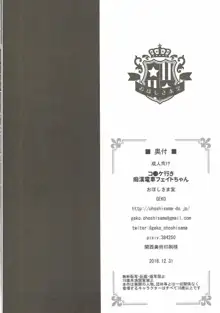 コ●ケ行き痴漢電車フェイトちゃん, 日本語