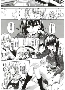 Meguridokoro Ch. 1-4.5, 中文