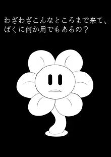 フラウィー(Flowey)に逆レイプされるCG集, 日本語