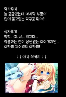 秘書の秘めゴト, 한국어