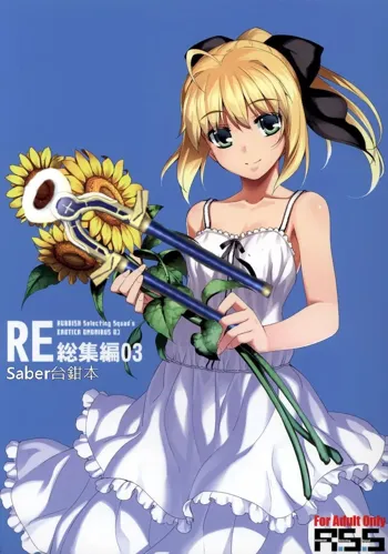 RE Soushuuhen 03, 中文