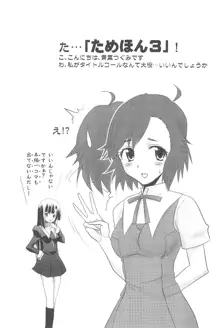 ためほん3, 日本語