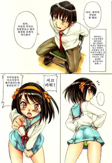 Suzumiya Haruhi no Nisemono (decensored), 한국어