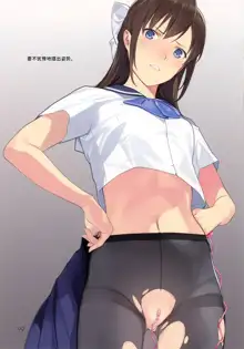 Koinumaru-san wa Kekkyoku Kotowarenai (decensored), 中文