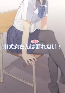 Koinumaru-san wa Kekkyoku Kotowarenai (decensored), 中文