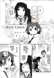 skew Lines, 中文