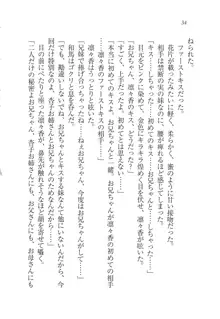 リモコンで思い通り！ 妹も幼なじみも先生もお嬢様だって, 日本語