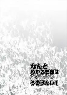 なんとわかさぎ姫は氷漬けでうごけない!, 日本語