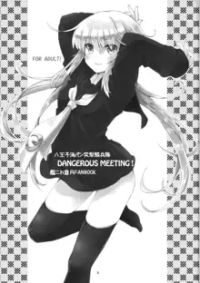 DANGEROUS MEETING!, 日本語